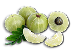 Amla